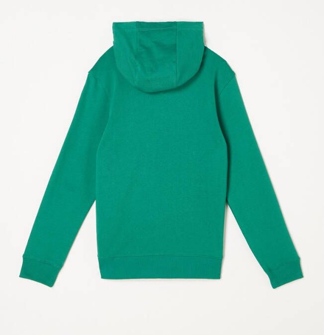 Tommy Hilfiger Sweatshirts , Groen, Heren