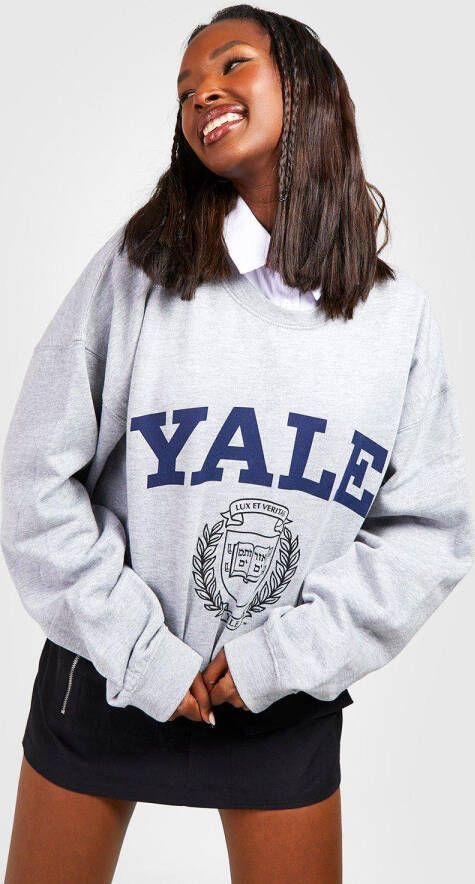 boohoo Oversized Gelicenseerde Yale University Trui, Grey Marl