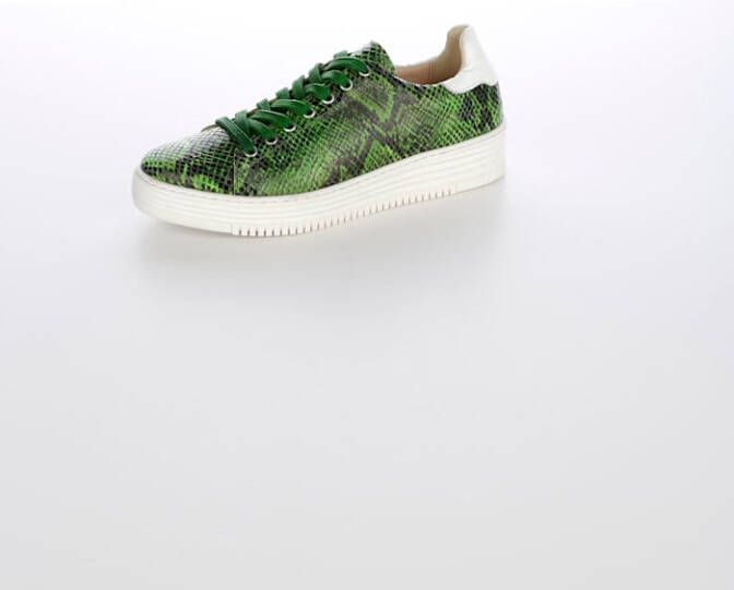 alba moda Sneaker met snakepatroon Groen/Wit/Snake