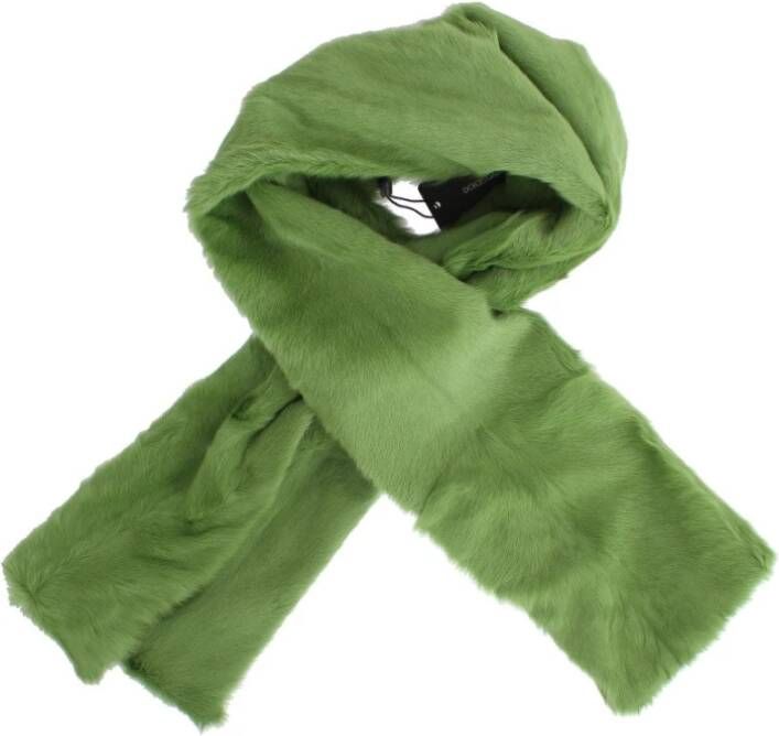 Dolce & Gabbana Winter sjaals , Groen, Dames