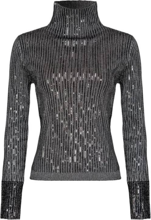 pinko Coltruien Grijs Dames