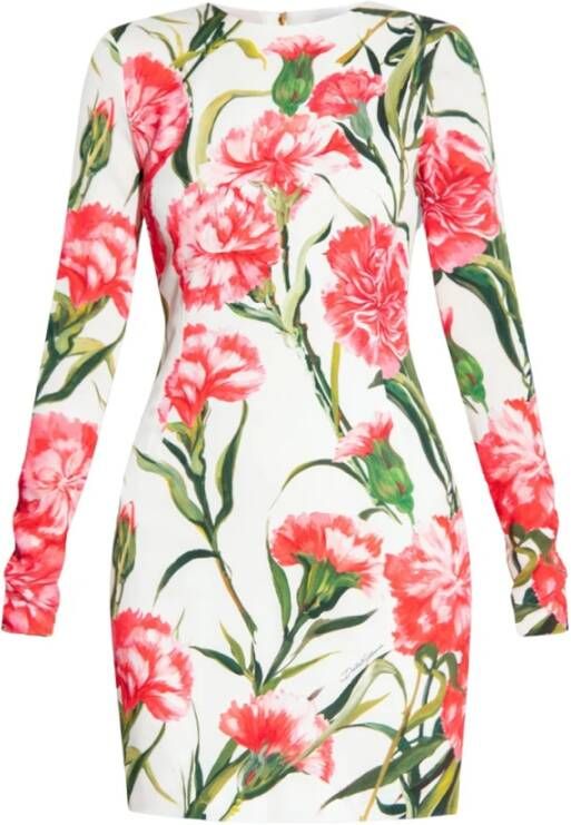 Dolce & Gabbana Robe à imprimé œillets , Roze, Dames