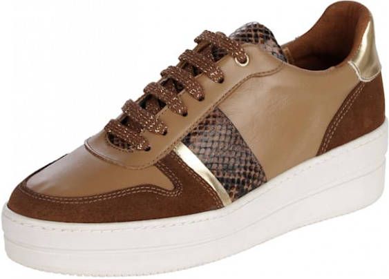 alba moda Sneaker met slangenaccent Cognac/Goudkleur
