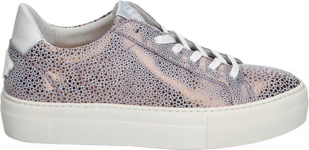 Floris van bommel Vinni 05.30 Purple G Wijdte Lage sneakers