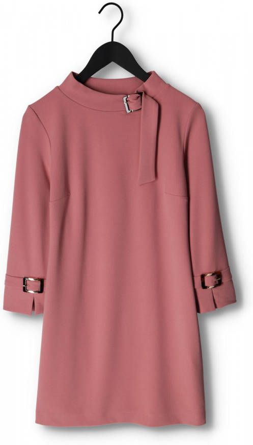 Ana Alcazar Roze Mini Jurk Dress Clasp