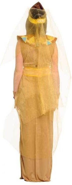 Confetti Egyptische cleopatra jurk | gouden dress