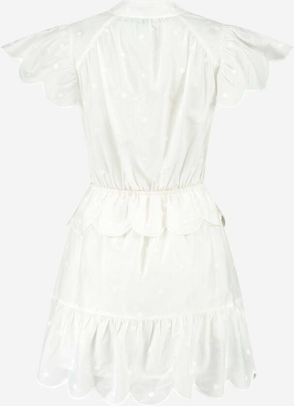 NIKKIE Sisi mini jurk met stippenprint en V hals