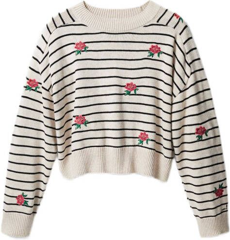 Desigual gestreepte trui wit/zwart/rood